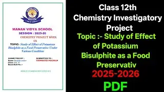 Study of Effect of Potassium Bisulphite as a Food Preservative | Class 12 Chemistry Project 2025-26