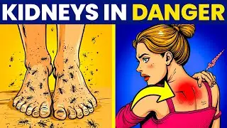 10 Warning Signs Your Kidneys Are in Trouble! 🚨 | WellBoost