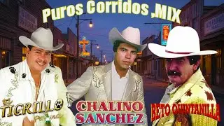 Chalino Sanchez, Beto Quintanilla y Tigrillo Palma Mix Para Pistear - Corridos Pesados Mix