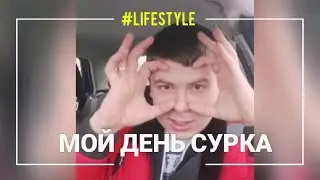 Работа курьером в Burger King/KFC/Pizza Hut. Как проходит мой день.