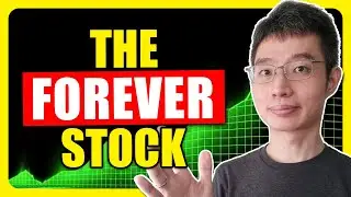 If I Could Only Buy 1 Stock And Hold Forever, This Would Be It