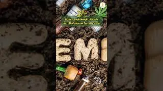 Hemp derived bio composites are used in the automotive industry #shorts #hempcommunity #hempbenefits