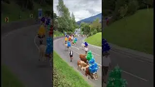 Almabtrieb - An annual tradition in Tyrol