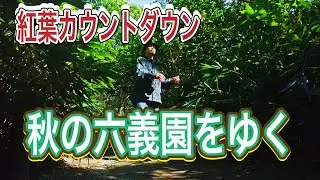 【まー散歩】紅葉直前！六義園をゆく！