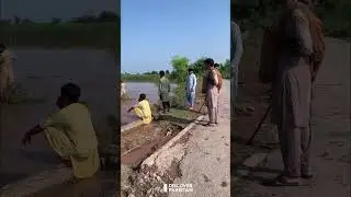 Phalia: People Start Catching Fish in Floodwaters | Discover Pakistan shorts