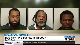 Several charges dropped & bonds set in Savannah dogfighting and drug case