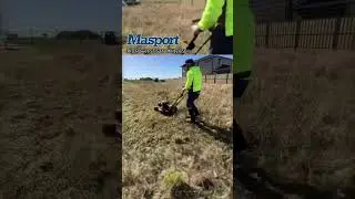 Masport Utility Mower Takes On This Overgrown Block #lawnmower #satisfying