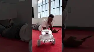 The Wildest Camera Robot