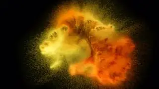 Color Powder Explosion Stock Video