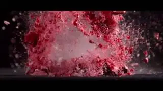 The Art of Destruction