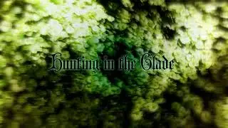 Caleb Hennessy - Hunting in the Glade (Druidic Music)