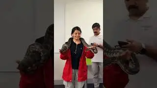 My first day in university 🥶 | Australia Brisbane #snake #nature #travel #shorts