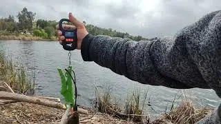 FISHING ALMADEN LAKE REAL WALK THROUGH