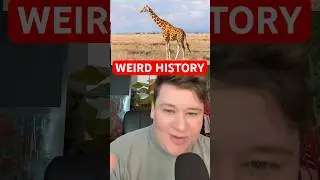 Weird internet debate and history #history #news #historical #historyfacts #animal #animals #jokes