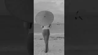 Lido Beach // Sarasota Florida Photographer #photography #floridabeach