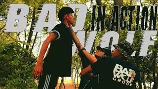 BAD WOLF | IN ACTION | FREE STEP BRASIL 2017 @Danceon