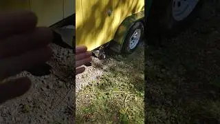 Tiny House Plumbing Update: Gray Water Complete!