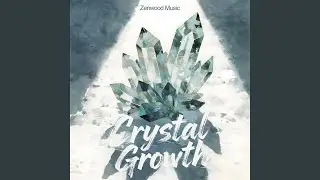 Crystal Growth​​