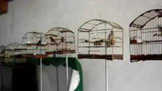minha casa