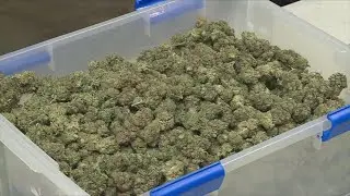 Nebraska Attorney General says cannabis legalization petitions are invalid