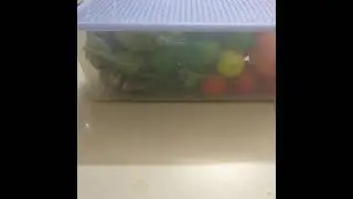 Tupperware Fridge Containers