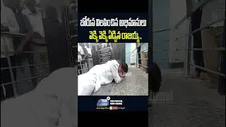 MLA Thatikonda Rajaiah Emotional | Station Ghanpur |MLA T Rajaiah Crying | Sarpanch Navya