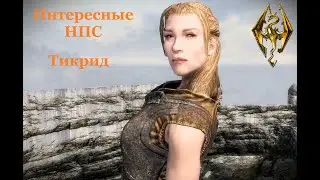 TES V: Skyrim Anniversary Edition #47 Интересные НПС  Тикрид и проклятье ведьмы