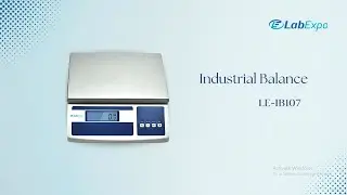 Labexpo Industrial Balance LE-IB107 | Precision for Small Sample Weighing!