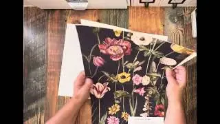 Wallpaper samples free online