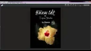 SCo Images    Hibiscus Edit in Topaz Studio