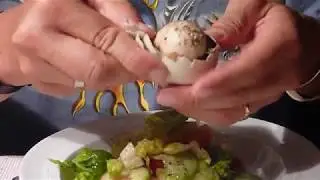 Fertilized Duck Embryo introducing Balut the world's weirdest duck dish - duck fetus #foodie