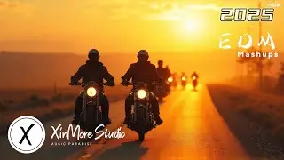 CAR MUSIC MIX 2025 🎶 BASS DROP CHILLS & ENERGY 💥 EDM EUPHORIA FOR DRIVERS & DANCERS ONLY