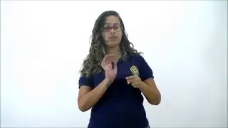Ovócitos