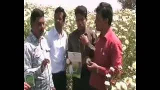 saathi group agro product results 2