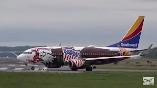 ULTIMATE PLANESPOTTING I Washington Reagan National (DCA)