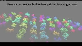 Kmeans Clustering in 3D with olive trees