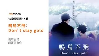 《鳴鳥不飛：Don&rsquo;t stay gold》台灣最賣座BL動畫電影 番外經典篇章 電影預告 ｜myVideo強片電影線上看