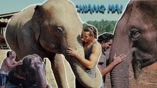 STOP ELEPHANT RIDING! DO THIS INSTEAD | THAILAND'S ELEPHANT SANCTUARY, CHIANG MAI