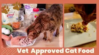 Boost your Cat's Vitality and Immune system with vet-approved DIY Cat food