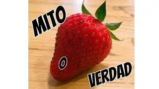 Germinacion de Fresas desde la Fruta, Mito o Verdad