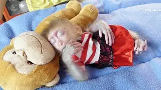 Mom Take Care & Comfort Zuji To Sleep In SoftMattress | Zuji Warning & Deep Sleeping