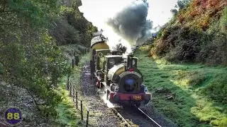 Dean Forest Railway - Steam in South Wales - Autumn Steam Gala 2023 - 14/10/2023
