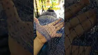 Fencing net.10 Feet Height.Length 20 Feet Per Kg.Heavy Thread.Smaller Mesh.Chicken farm.Agriculture