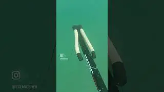 SPEAR FISHING IN UTAH