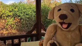Ted E Bare's Diet Week 2