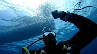 Scuba Dive Tobago