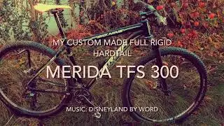 Merida Big Nine TFS 300 (2012): My custom build full rigid MTB : Overview