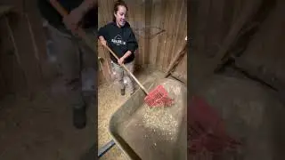 Coop cleaning out the coop