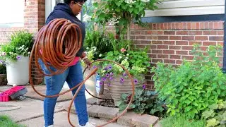 Summer Annuals in Ground & in Containers Finally Setting up Drip irrigation  With / Me Garden Queen