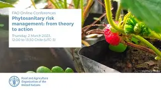 Phytosanitary risk management: from theory to action